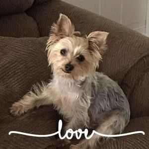 Meet your Posher, Renee n